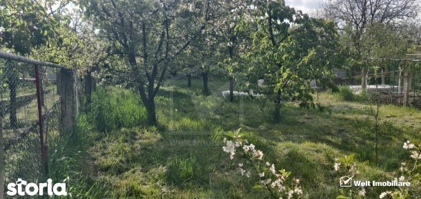 Casa cu gradina in Apahida
