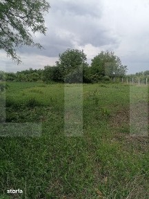 Casa batraneasca de vanzare - Braesti, judetul Botosani