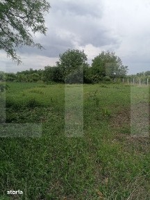 Casa batraneasca de vanzare - Braesti, judetul Botosani