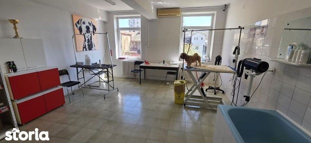 Vanzare imobil D+P+2+M Sebastian LIDL ideal clinica/birouri/rezidenta