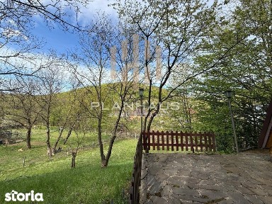 Cabană cochetă - Firiza