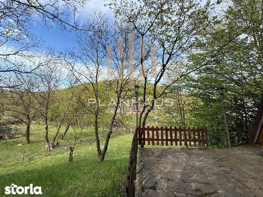 Cabană cochetă - Firiza
