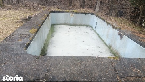 Oaza de liniste in Sovata - Cabana cu piscina, teren generos si par