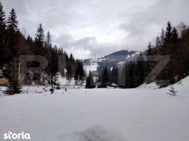 Cabanǎ la marginea pǎdurii - Arieşeni, Dealul Bajului