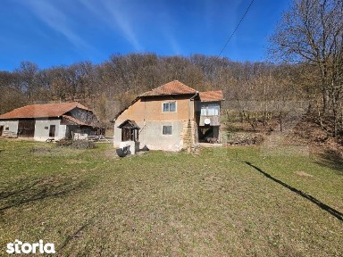 Casa cu teren generos 6.820 mp, langa padure si rau - Almasu Mare