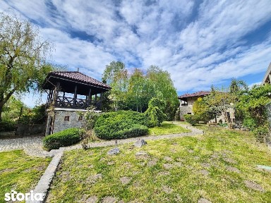 Arhitectura din Piatra si Lemn pe Malul Lacului Mogosoaia