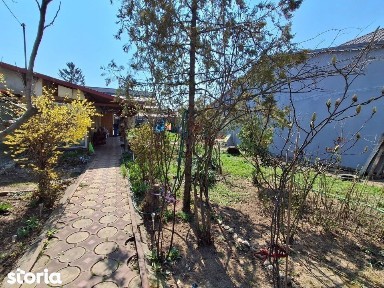 Casa la curte, 100 mp, zona Mihai Bravu