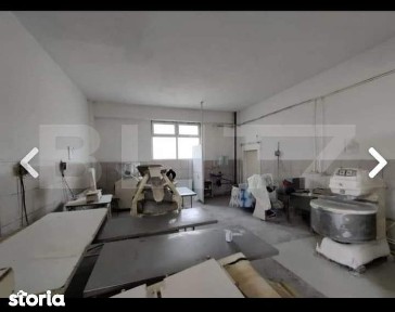 Brutarie S+P+E 600 mp, teren 1679 mp, Filipestii de Padure