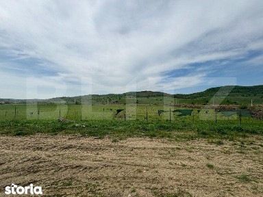 Hala, 230mp, zona Sud