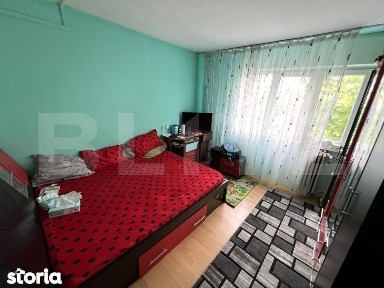 Camera de camin, 20.82 mp, zona Lapus