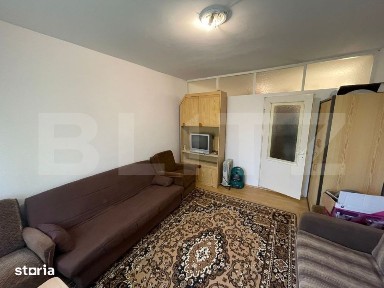 Camera de camin, 20.82 mp, zona Lapus