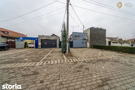 Micalaca, Arad