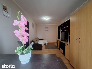 Circumvalatiunii, Timisoara, Timis
