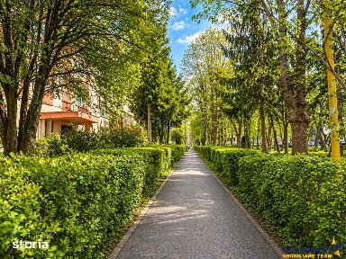 Centrul Nou, Brasov