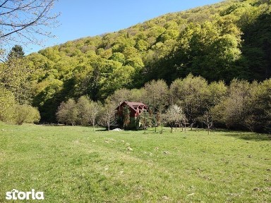 Vand casa de vacanta Cheile Cibinului