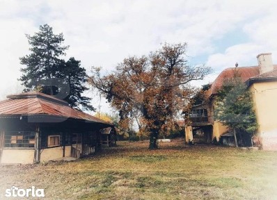 De vanzare conac boieresc, anul 1880, 3 ha teren, 1200 mp construiti