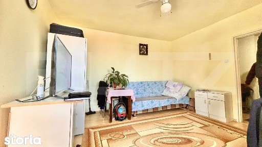 Apartament cu o camera, 30 mp util, Nufarul
