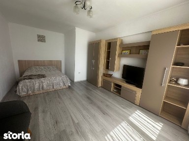 Inchiriere apartament 1 camera zona Calarasilor Viziru etaj 2