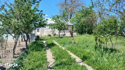 De vanzare casa și teren cu o suprafata de 5914 mp, 25.000 euro