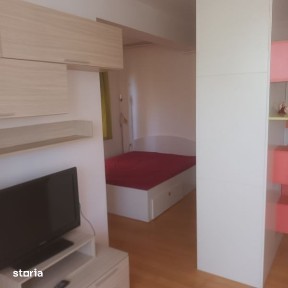 Drumul Taberei Parc Brancusi