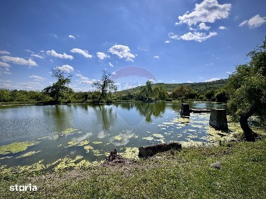 Domeniu de vânzare in Urlați Prahova