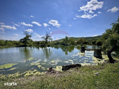 Strada Crizantemelor, Urlati, Prahova