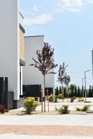 Tunari, Ilfov