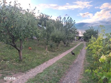 Casa cu 1ha teren la Baisa