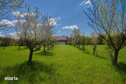 Casa Valea Mare Pravat (Campulung-Arges ) - farmec interbelic