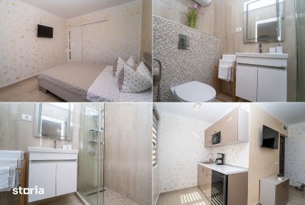 Inchiriez Garsoniere Apartamente in Saturn