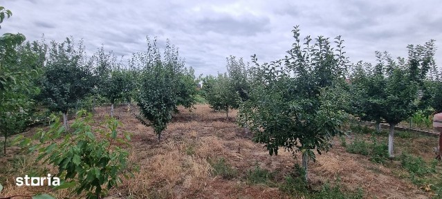 Vila cu etaj in zona fostelor sere Dobosari