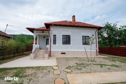 Proprietate unicat stil neoromânesc Ștefănești