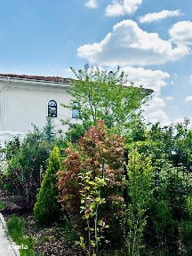 Vila 610 mp, 8 camere, 5 bai, Rezidenta, Office, Mixed Use