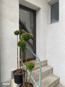 Casa individuala zona Piata Cluj