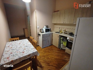 Apartament cu o camera de inchiriat in Timisoara, zona Ultracentrala