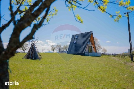 Case A frame cu teren 30200 mp, de vânzare, Bulz, Munteni, Prelucele