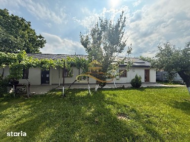 Strada Brandusei, CFR, Bacau