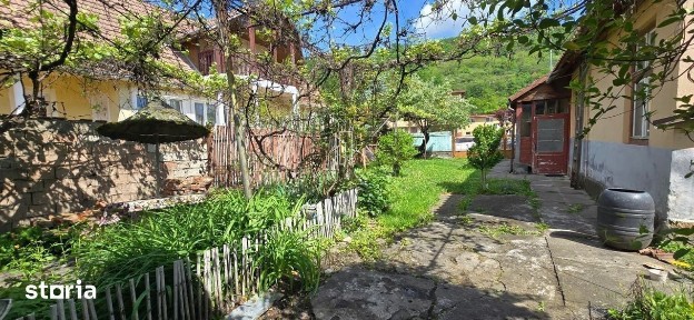 Strada Libertatii, Sighisoara, Mures