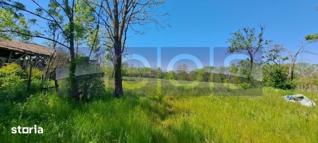 CASA TARANEASCA | TEREN 3000 MP | DESCHIDERE 52 M | COMUNA CIOLANESTI