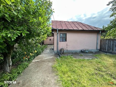 Casa parter de vanzare in comuna Vanatori, sat Mircestii Noi