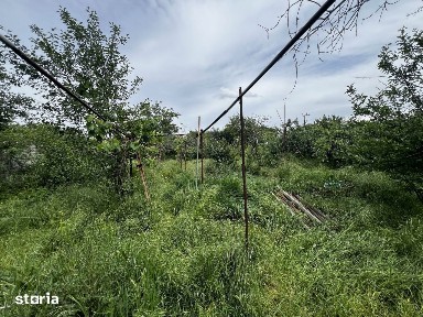 Teren 997 mp + casa de demolat - zona Bogdanestilor Timisoara