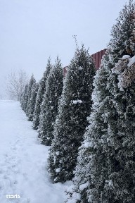 Casa noua cu etaj la intrare in Curtesti