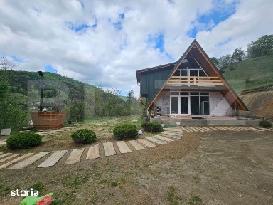 Cabana autentica cu 4565 mp teren, Liniste si Confort, Avram Iancu