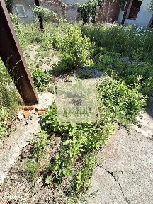 Apartament cu pivnita si curte de 211 mp zona 0