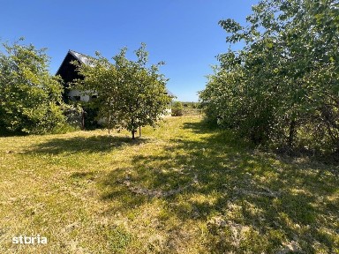 Casă S+P+1 cu terase mari și teren2700 mp - Orlești