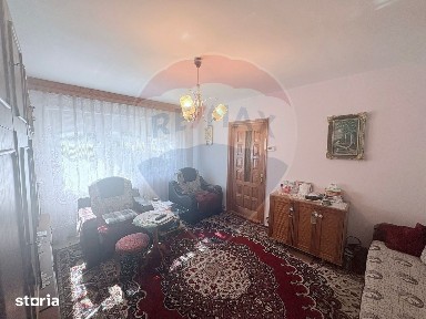 Strada Alecu Russo, Cornisa, Bacau