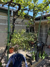 Casa Coiciu, teren 230 mp si deschidere de 13