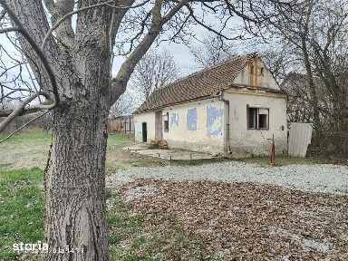 Casă cu teren de 1355 mp - zonă centrală,Săcel + livadă de meri