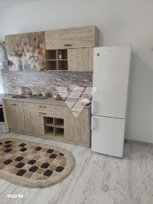 Apartament cu 2 camere, complet mobilat de inchiriat pe Doamna Stanca