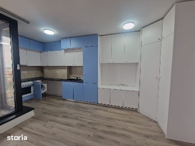 Badea Cartan, Timisoara, Timis